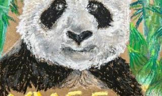 丫丫回来吧是多久的歌 丫丫回国后首露面