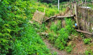 中国电影著作权协会是干什么的 中国摄影家协会