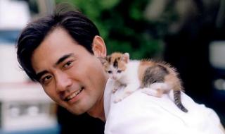 先锋上前线,天猪擒鼠猴指的是什么动物 坐吃享福是什么动物