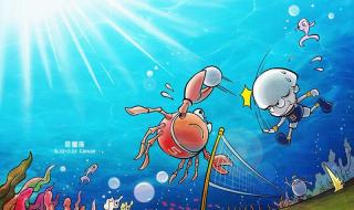 怎么表白成功率高句子 怎样表白成功率最高