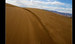 天地孤影任我行原唱歌词 天地孤影任我行歌词